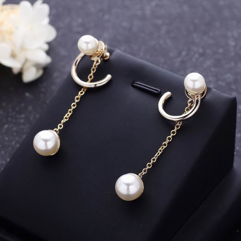 Dior Earring 04lyr343